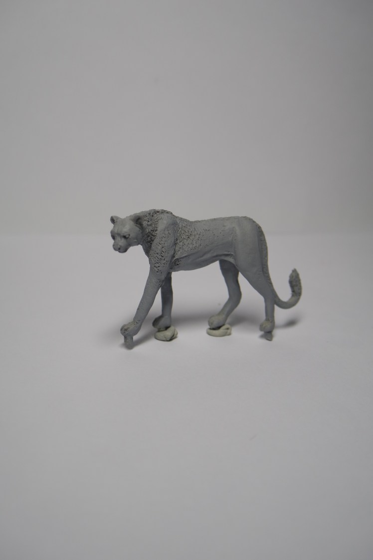 SAMSUNG CAMERA PICTURES