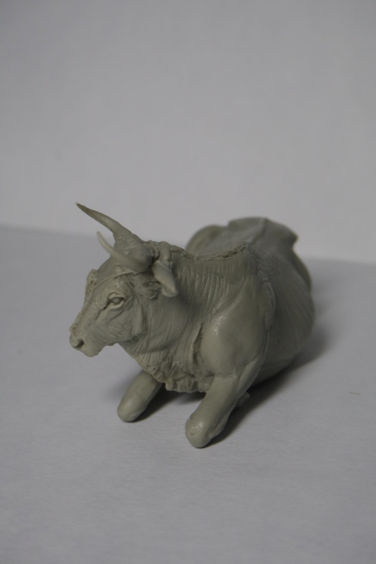 SAMSUNG CAMERA PICTURES