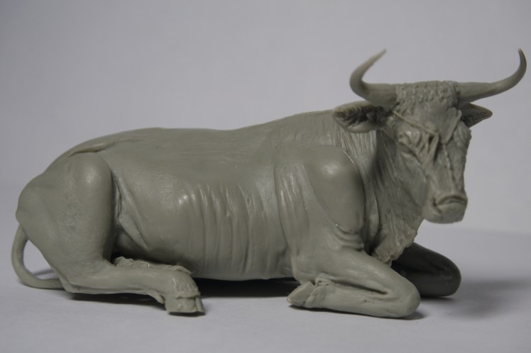 SAMSUNG CAMERA PICTURES